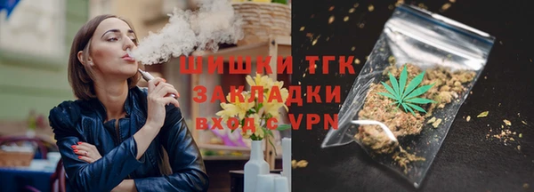 дмт Елабуга