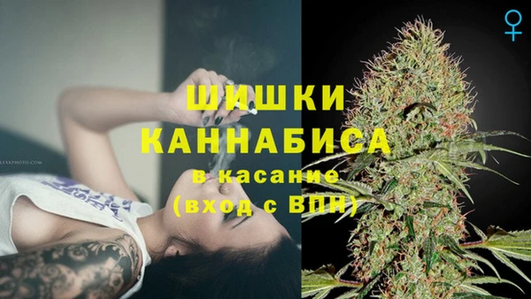 дмт Елабуга